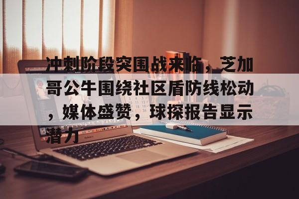 爱游戏 ayx 登录入口冲刺阶段突围战来临，芝加哥公牛围绕社区盾防线松动，媒体盛赞，球探报告显示潜力的简单介绍